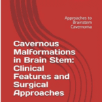 Screenshot 2025-07-16 204526